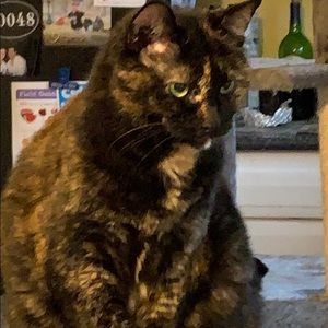 Meet your Posher, Michele